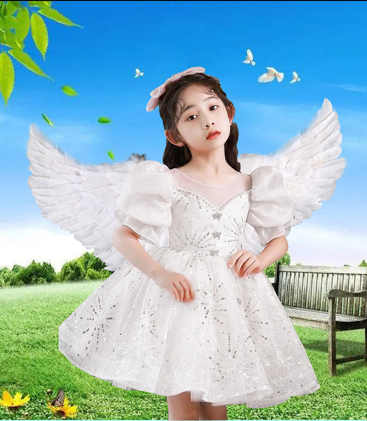 白色天使翅膀_01