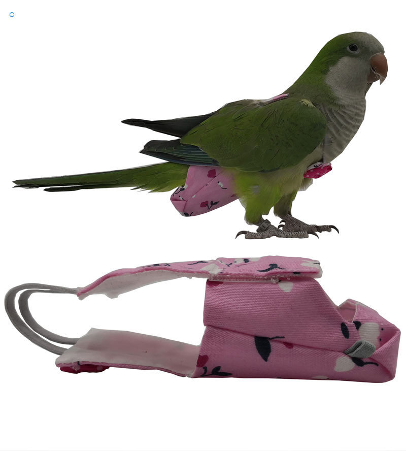 12925306403_209451337