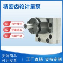 耐磨工具钢防泄漏构造小型纺丝计量齿轮泵 微型齿轮计量泵