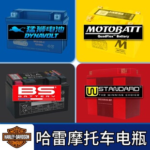 ����883 1200 XLӲ�hX48�\���߽�·��ROD750 YTX14L-BS�ƿ��늳�