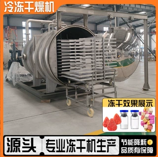 全自动杨梅冻干机商用果蔬食品茶叶真空冻干设备桃子柠檬冻干机
