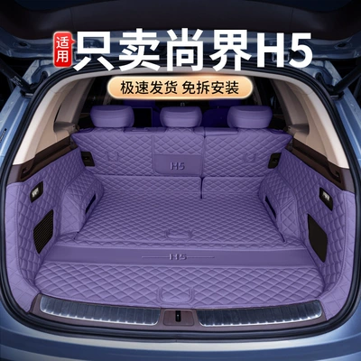 Trunk Mat – modified interior car trunk mat