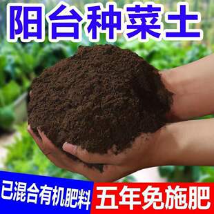 �I�B��ͨ�����B���N�ˌ������̨���û�������Ҭ����̿�����Nֲ��