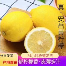 柠檬新鲜黄柠檬四川安岳新鲜柠檬水果皮薄多汁应季生鲜批发多规格