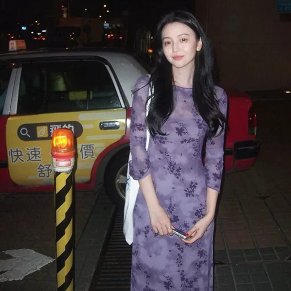 2025 Autumn and Winter Hong Kong Style Versatile Fashion Retro Mesh Printed Dress + Inner Suspender Skirt Two-Piece Suit