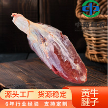 工厂新鲜原切牛腱子肉黄牛肉牛腱子新鲜腱子肉牛班腱商用半成品