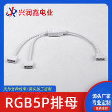 ����RGBW5P��ĸY��һ�϶��B�Ӿ���ɫLED������һ�ֶ��B�Ӿ��־���