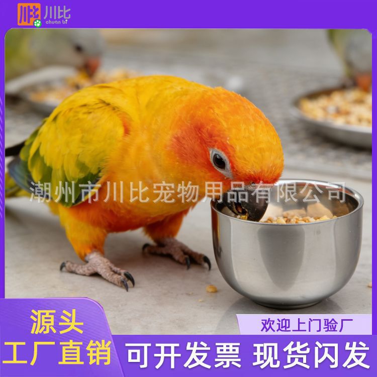 Stainless steel bird food cup, pet parrot feeding bowl, cage-mounted water and food feeder, bulk supply for pet shops and birdhouses Stainless steel bird food cup, pet parrot feeding bowl, cage-mounted water and food feeder, bulk supply for pet shops and birdhouses