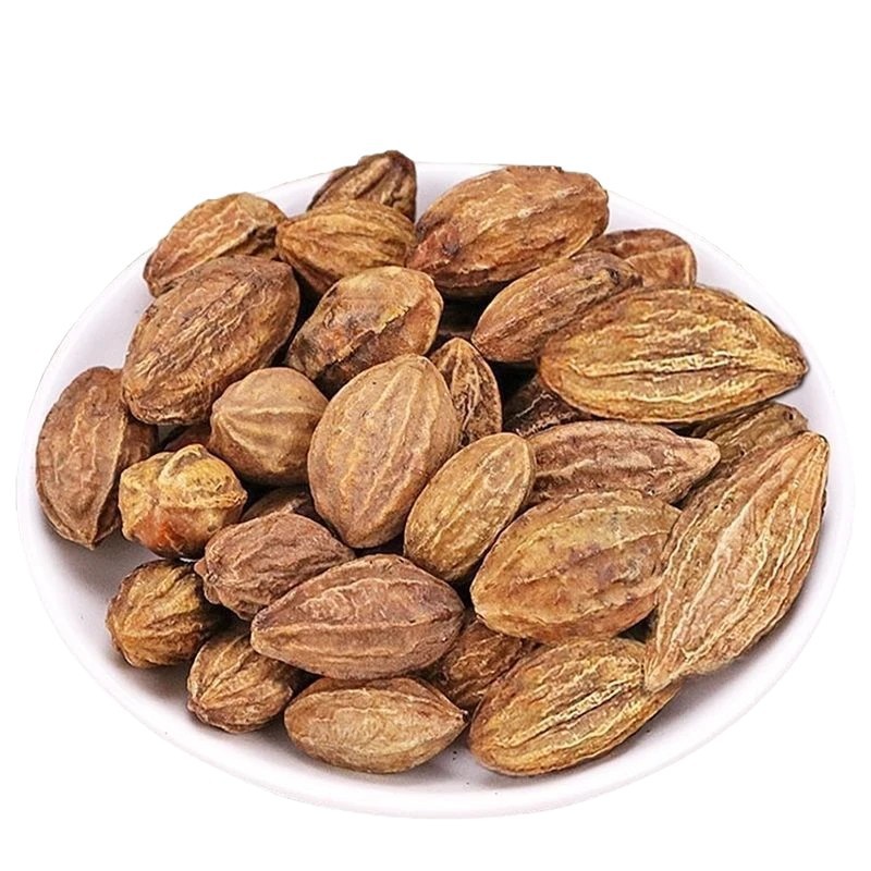 Yinhua Fruit He Zi Dried Chebula Fruit 100g Bottle Traditional Chinese Herb for Decoction and Tea preparation