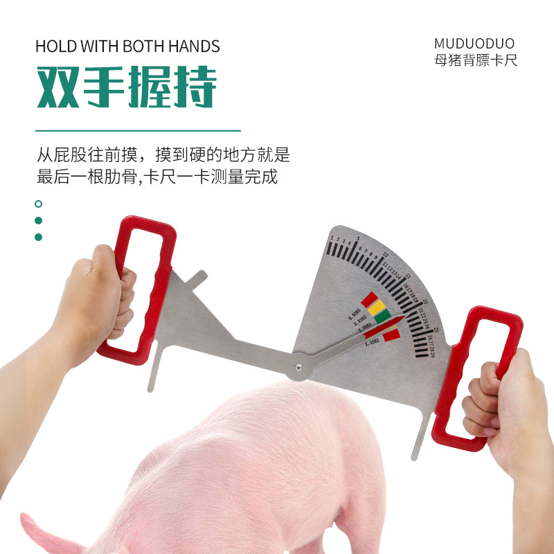 Calibrador de alimentación de acero inoxidable para cerdos guía de medición de estado de cerdas embarazadas calibrador de alimentación de cerdos