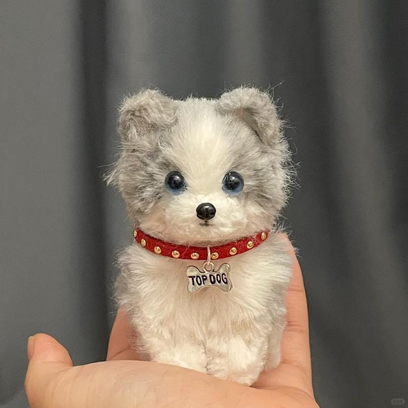 토끼털 흰색과 검은색 보더 양치기 강아지 소재