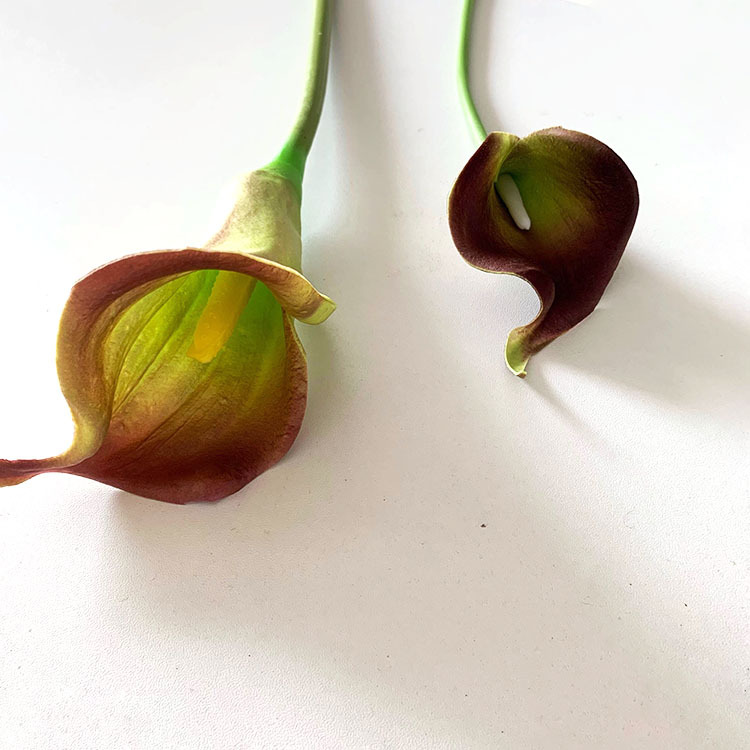 QQ图片20230306094057