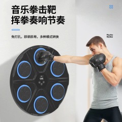智能儿童音乐训练器材拳靶家用玩具暑假礼物拳击机墙靶拳击