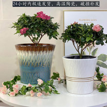 մɴ̖sF̨GֲNlؔбP