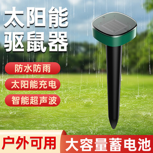 �羳̫��������ͥԺ��������������B���Bֳ�@����x�؈��