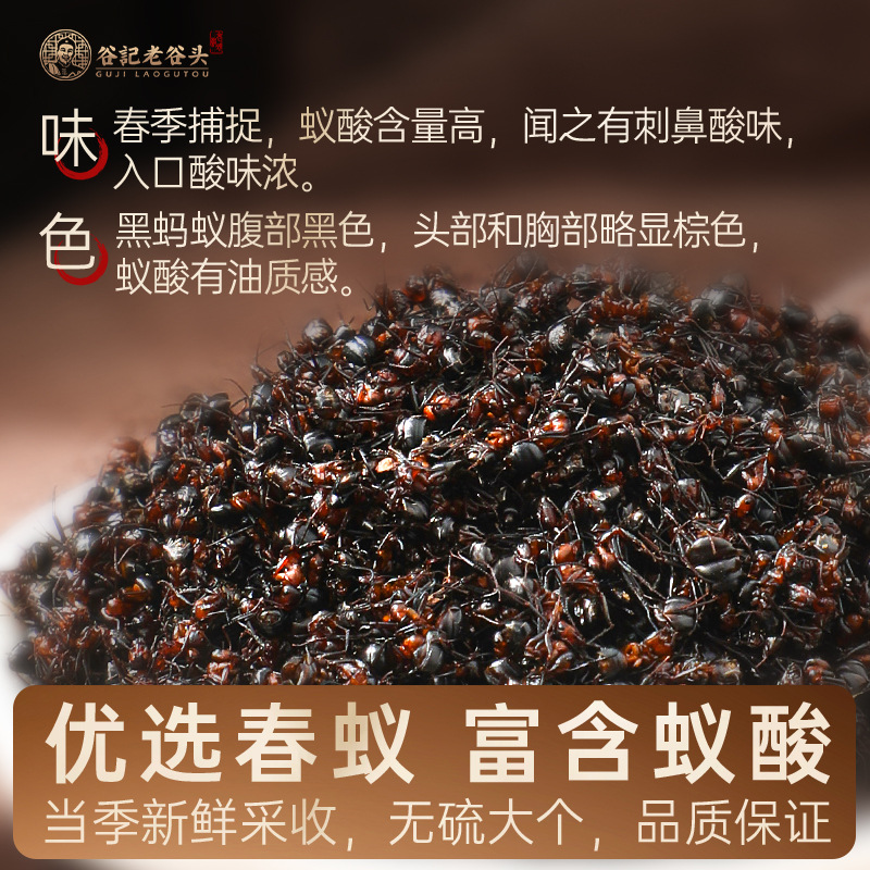 Changbai Mountain Black Ant Dried Whole Ants Traditional Herbal Use 170g key features