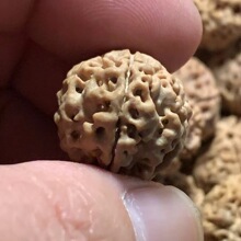 满肉原文玩菩提子大金刚老款盘串念珠佛珠满肉菩提手串珠子