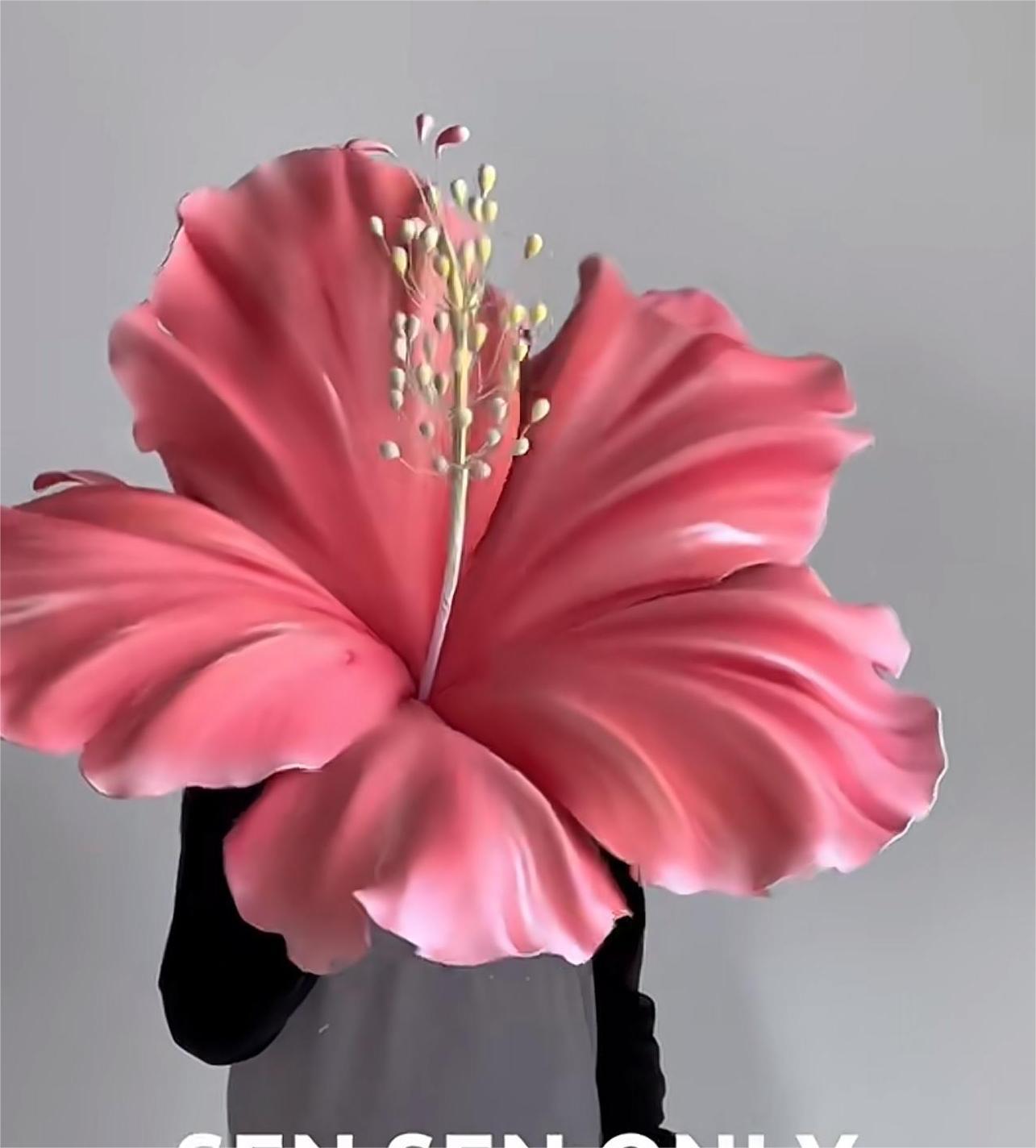 4bd2b934935dcf422ab8889fa34147