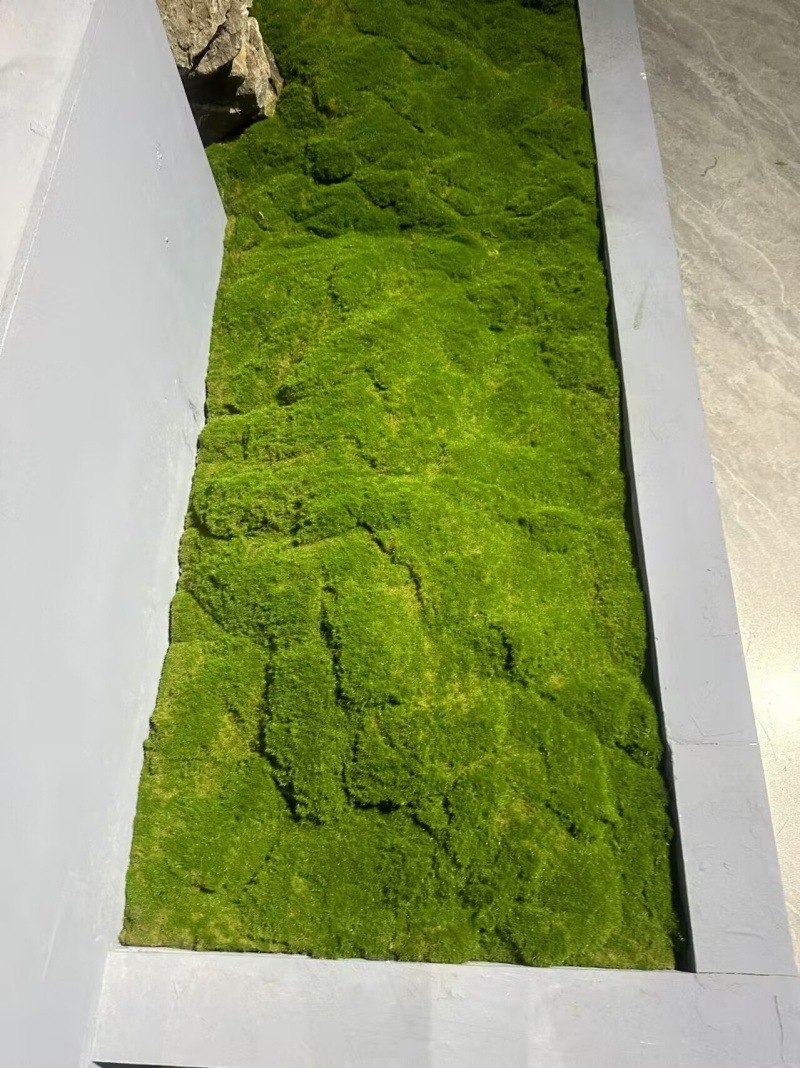 3C84C67BB274DA85736128CA57F758