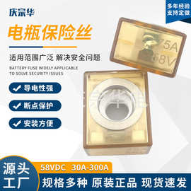 陶瓷熔断器 汽车蓄电池保险丝100A 125A 200A 300A 400A 500A 58V