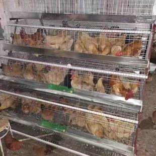 ���u�Bֳ�\�����Č��A��ʽ���u�\�Ӽ���ĸ�u�µ��\�L���u�\�Ӱ��]