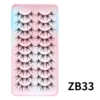 ZB33