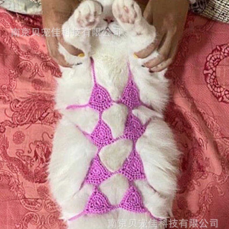 Tiktok Internet Popular Handmade Woolen Kitten Bikini Pet Funny Underwear Dog Bra Photo Photography Props