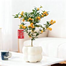 �����Ԏ���ֲ�����҃ȿ͏d�������k����������B�Gֲ�����辰