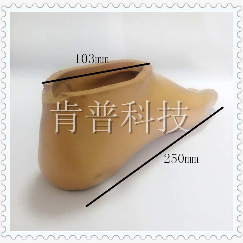 福建工厂 EPU人体假肢模具  脚掌 PU发泡仿真人体脚
