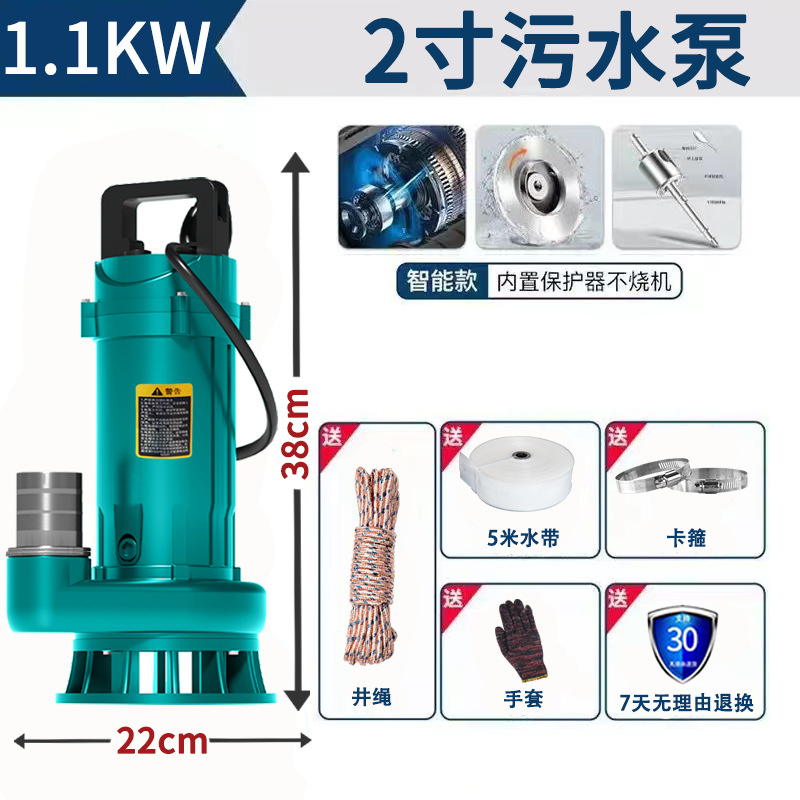 Pequeña bomba de agua agrícola bomba de corte bomba de aguas residuales bomba sumergible doméstica bomba de alta elevación 220V bomba de riego