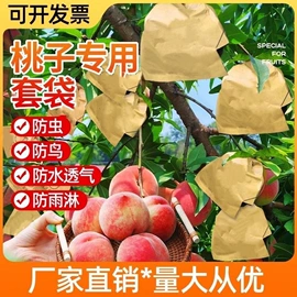 纸袋;水果套袋;防虫网袋
