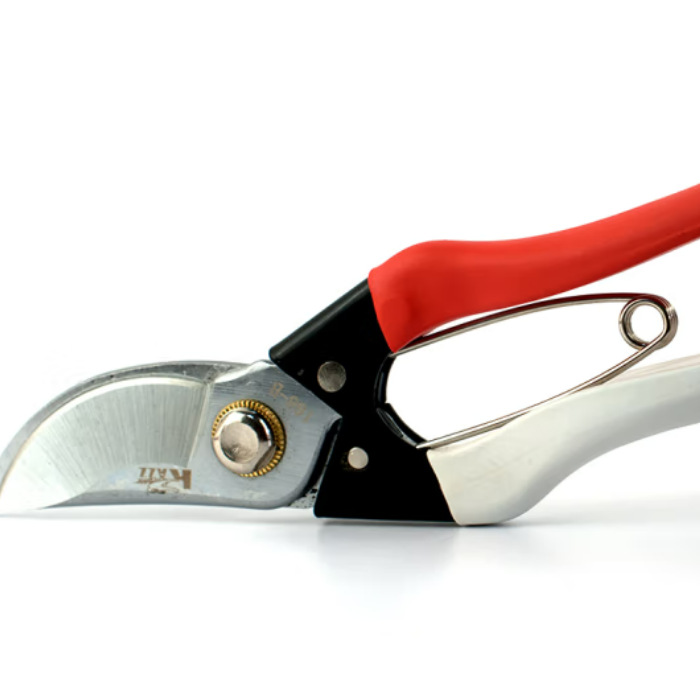 P168凯姿 KAZZ凯姿修枝剪园艺枝条剪刀果树剪花木剪