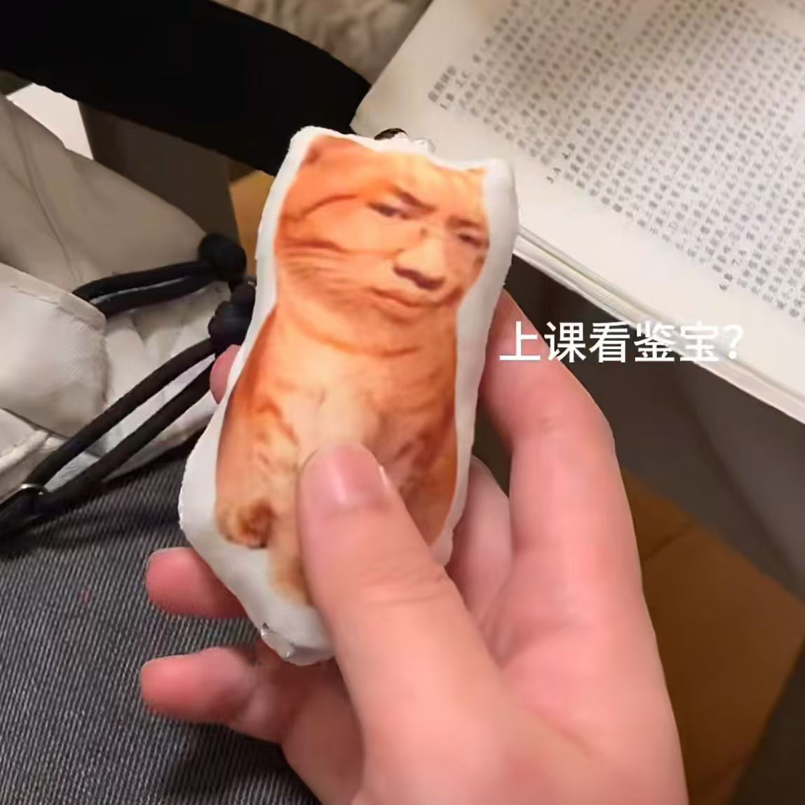 새로운 TINGQUAN 고양이 음성 펜던트 재미있는 추상 TINGQUAN JIANBAO 음성 키 체인 봉제 인형 프레스 음성