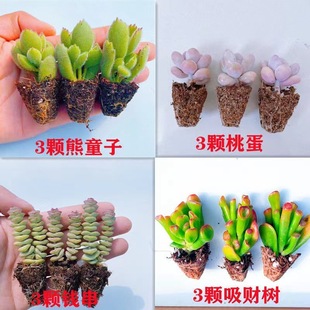 ����ֲ���ҵ���ؔ���X����ͯ�������ײ��҃�߀�B��