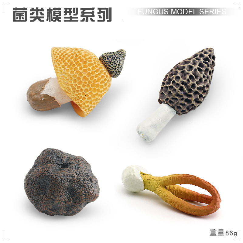 PL127 - 3443 Set de hongos 86g