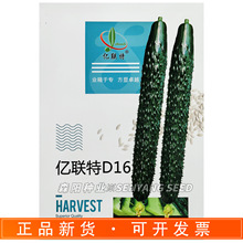 �|��D16�S�ϷN�ӿ��ߜ������G����S��������ϴ������ļ��߲�