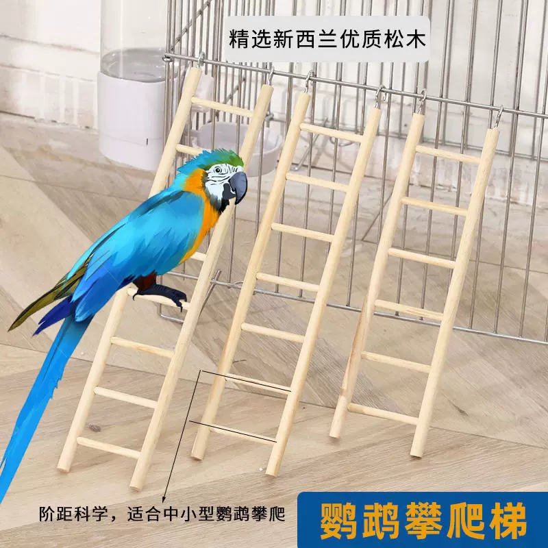 鸟梯子 鹦鹉木制爬梯小宠爬梯梯原木鹦鹉梯鹦鹉玩具梯子鸟笼配件