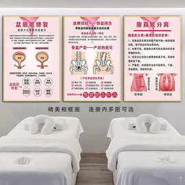 产后宣传挂画月子装饰画盆底肌图片产康恢复广告骨盆海报