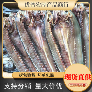 ���E�~��500g�O���ԕ񺣮a�R�o�~���E�~���~�ɺ��rˮ�a��؛�خa