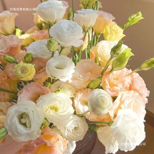 �B�����ֱ�l���r��۹���đ���滨��������l�҃�ˮ�B�r����֦Ҋ