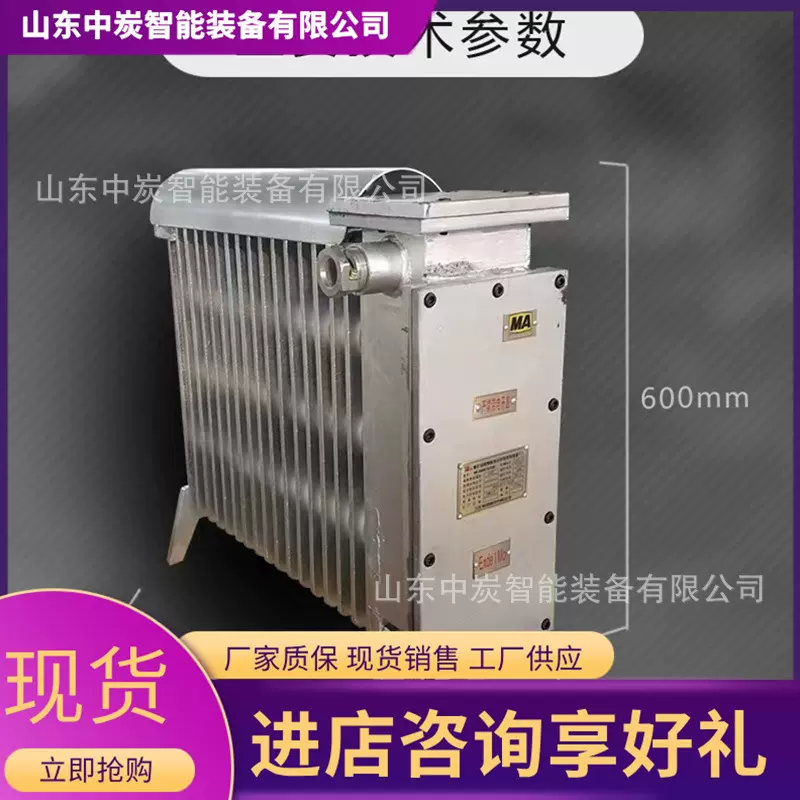 防爆电热取暖器 运行稳定 升温快速无水增安控温电热取暖器