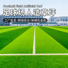 �����ƺ�����\�ӵ�̺�WУ�و�������w���������ƺ�˹��ٲ�Ƥ