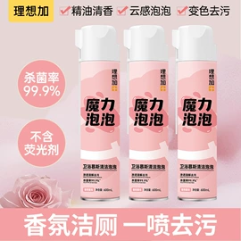 湿巾纸;婴儿湿巾;马桶洁厕剂