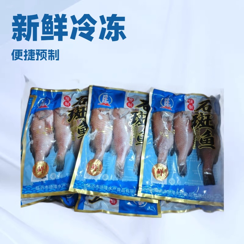 冻冷冻石斑鱼红石斑鱼冷冻海鲜水产品活冻鲜肉质鲜嫩海鲜批发
