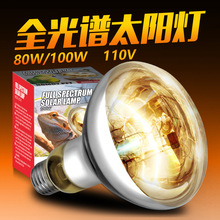 ȫ����80w����UVB������½����ȱ�ů�������������������̫����