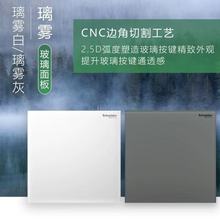 施耐德致铂开关插座璃雾白玻璃面板璃雾灰超薄一开五孔带开关插座