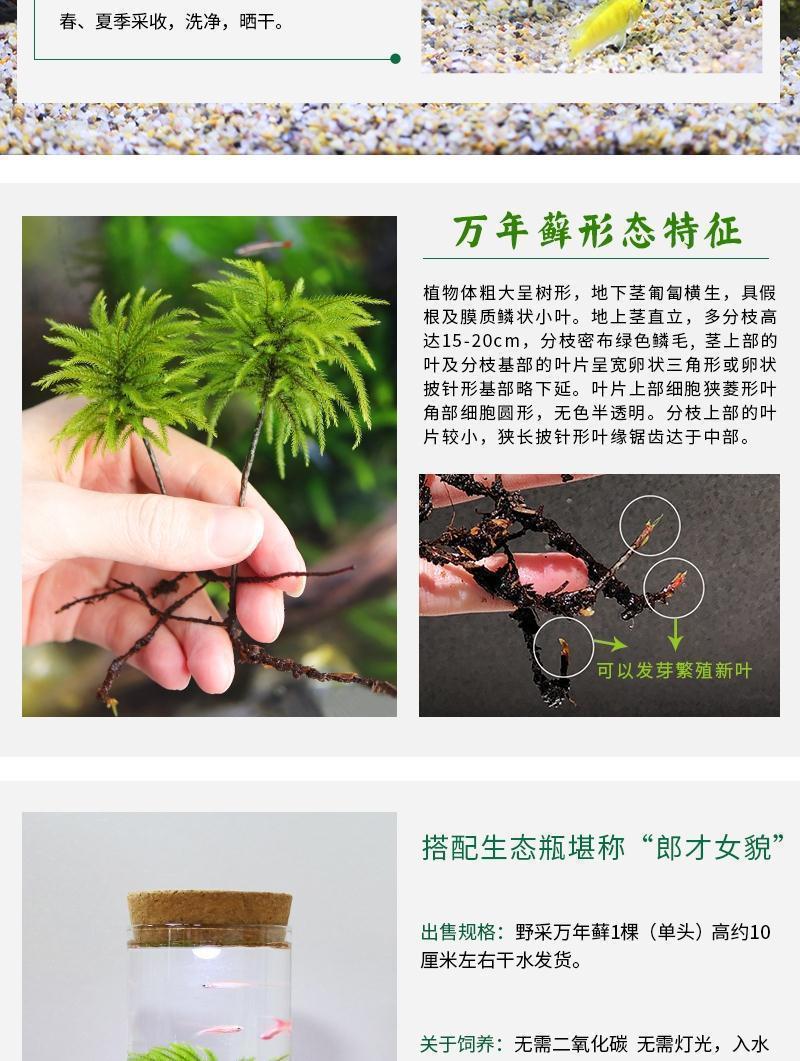 5f1e0c1f-ab98-4947-b6f7-e5f48c962cf6.jpe