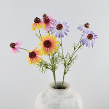 ���汱�W��@�L�ɹ���3���ɾ�СҰ�� �ҾӘӰ��g�Ƶ��b������l