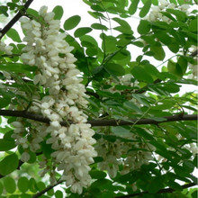 ̻N ׻̻㻨 뻱۷ۻSN