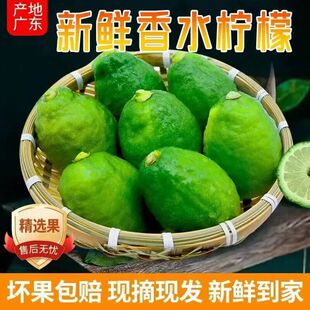 ���r�V�|��ˮ���ʾ��x�����ʲ��̲�ꌣ�ßo��������ˮ����